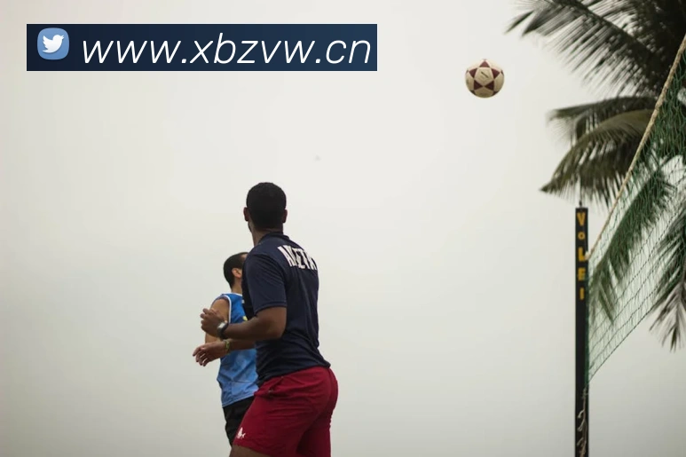 App Interface Preview